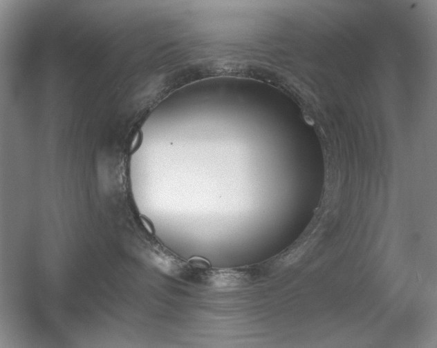X0000056010336200508221501