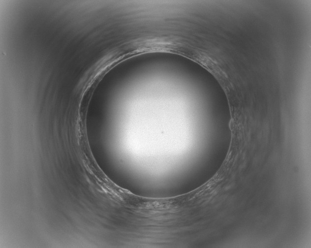 X0000056010338200508221500