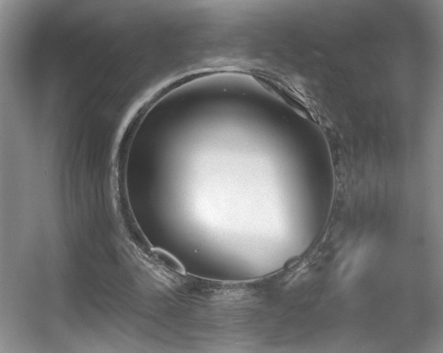 X0000056010342200508221500