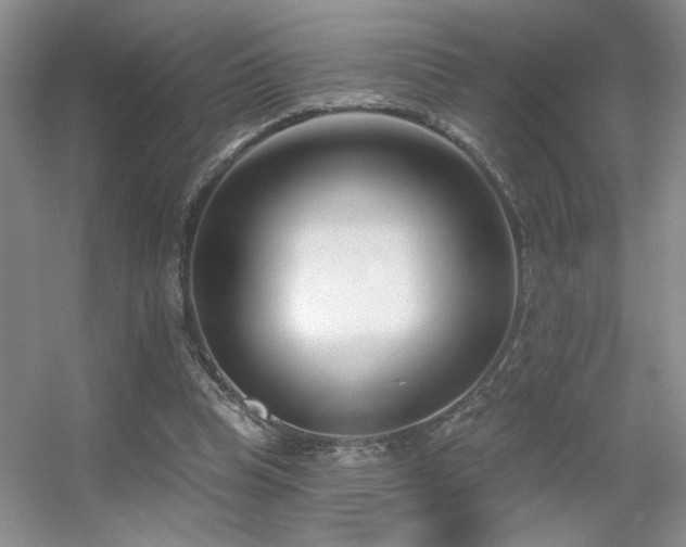 X0000056010345200508221500