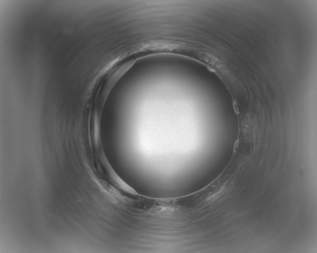 X0000056010352200508221500
