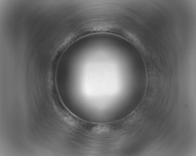 X0000056010354200508221500