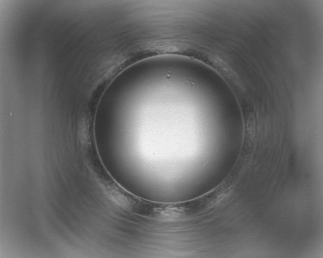 X0000056010359200508221500