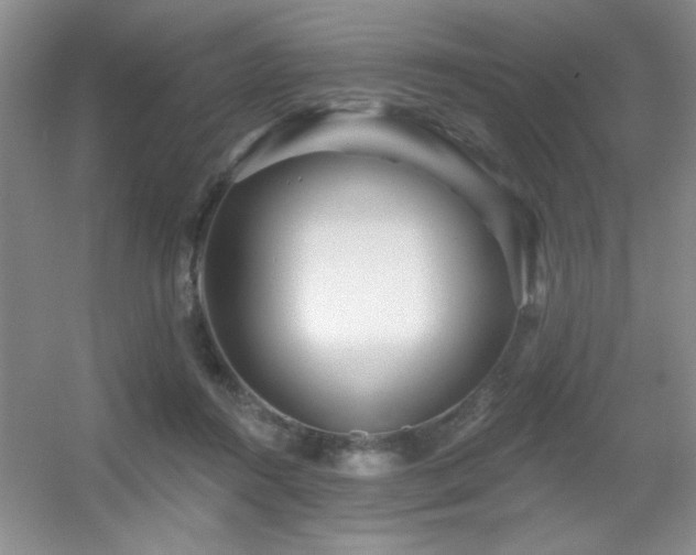 X0000056010360200508221500