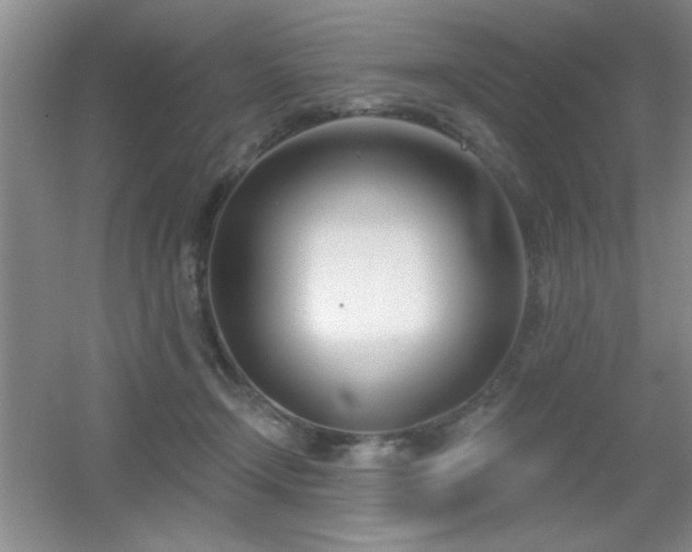 X0000056010366200508221500