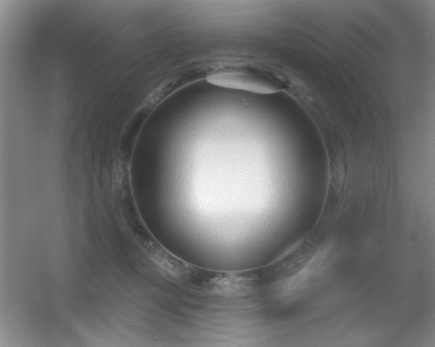 X0000056010367200508221500