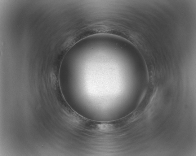 X0000056010371200508221501