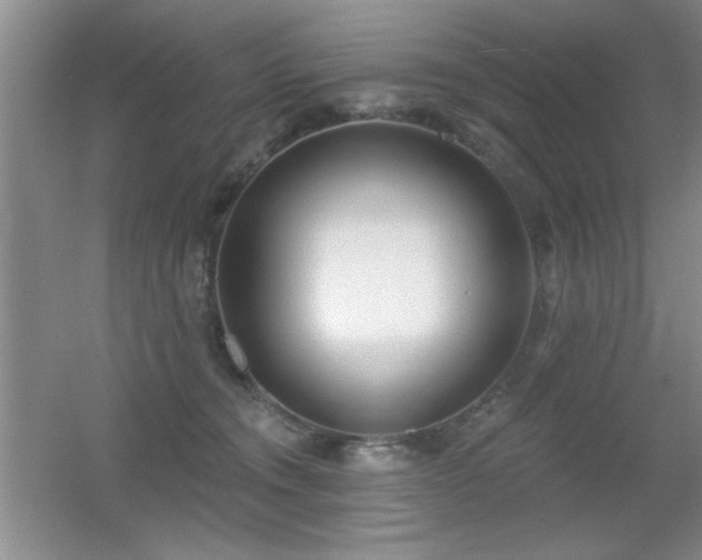 X0000056010372200508221501