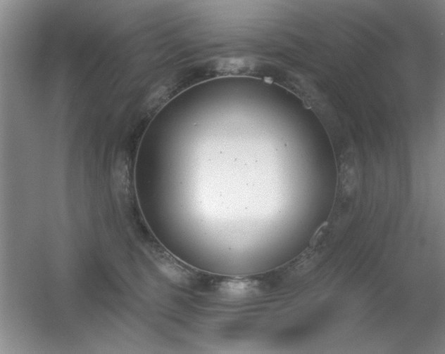 X0000056010375200508221501