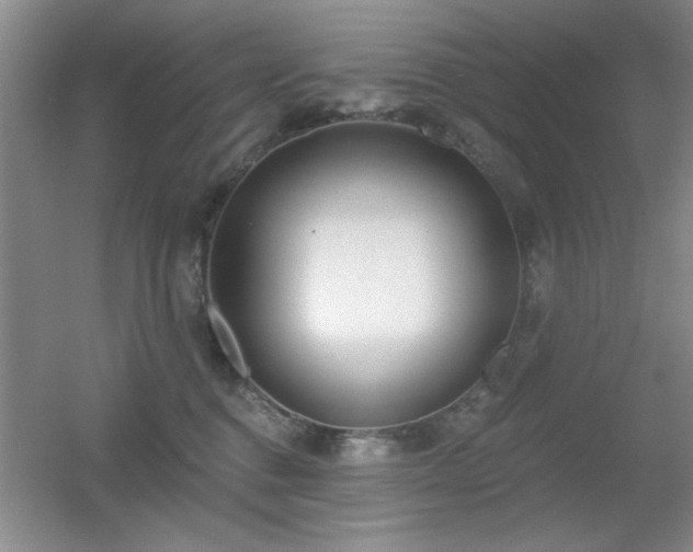 X0000056010376200508221501