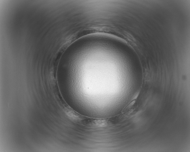 X0000056010377200508221501