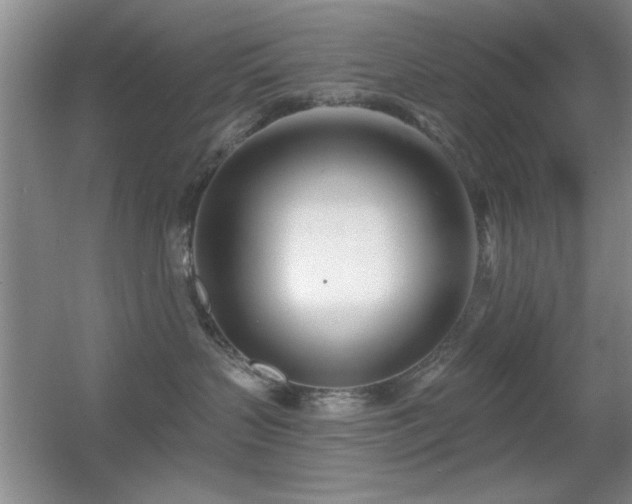 X0000056010383200508221501