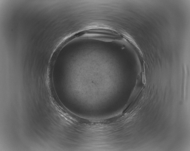 X0000056010387200508221500