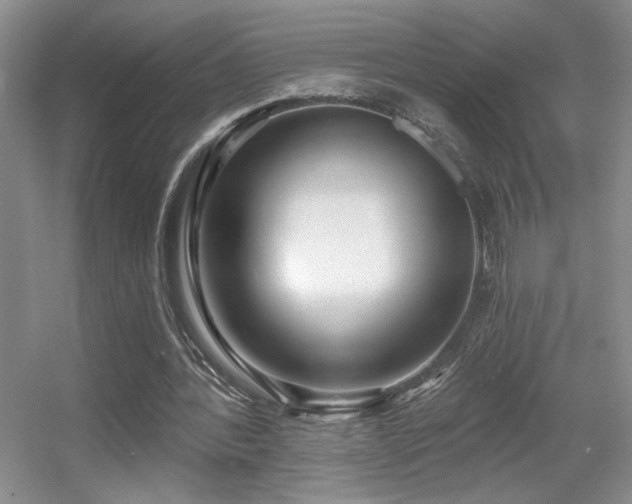 X0000056010388200508221500
