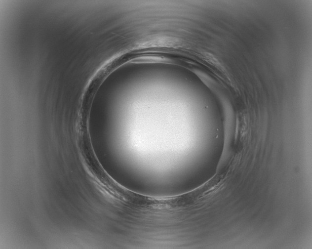 X0000056010392200508221500