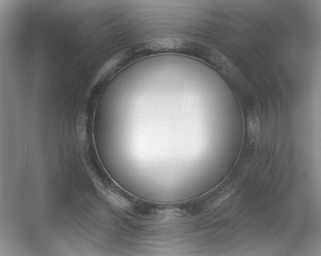 X0000056010396200508221500