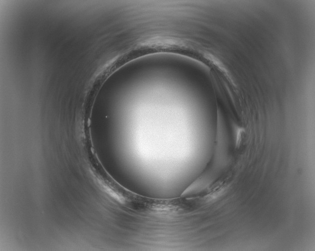 X0000056010399200508221500