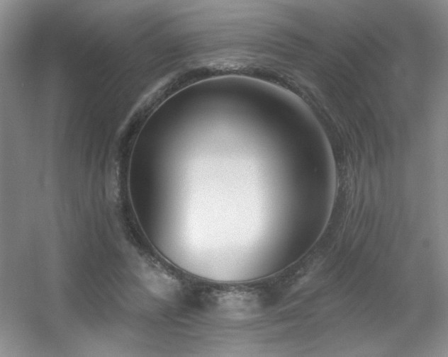 X0000056010400200508221500