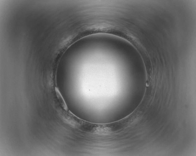 X0000056010403200508221500
