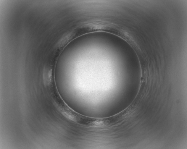 X0000056010406200508221500