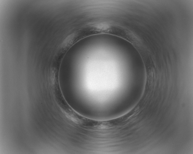 X0000056010412200508221459