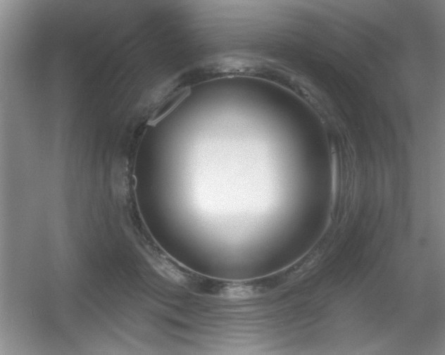 X0000056010413200508221459