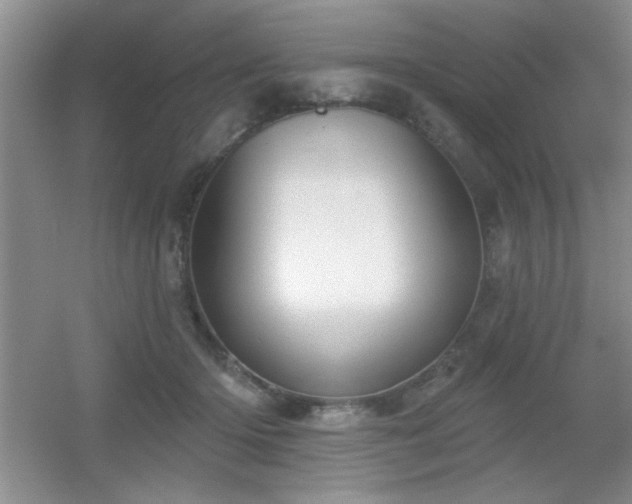 X0000056010414200508221459