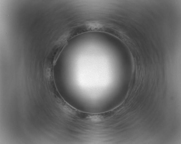 X0000056010417200508221459