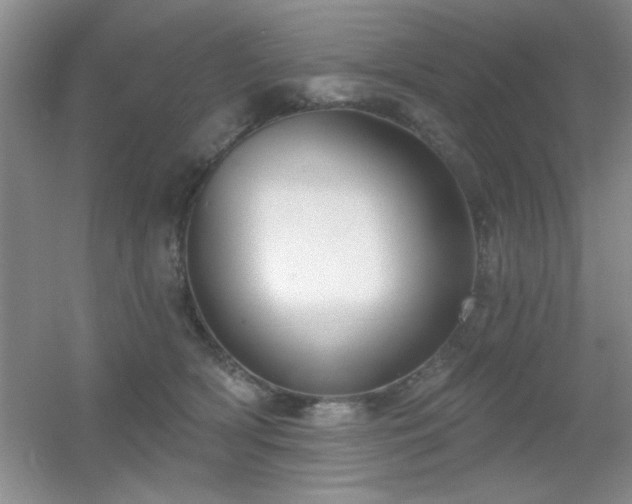 X0000056010418200508221459