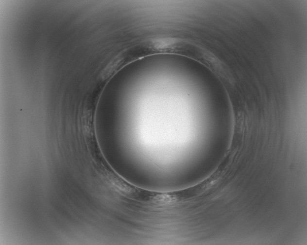 X0000056010421200508221459