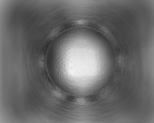 X0000056010423200508221459