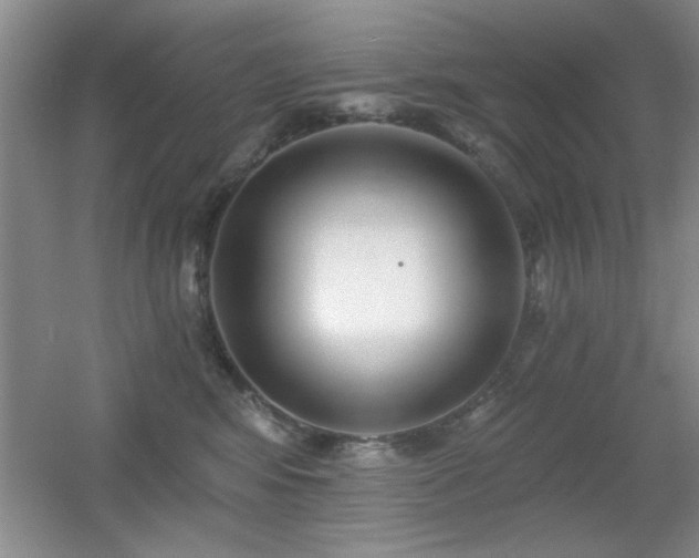 X0000056010424200508221459
