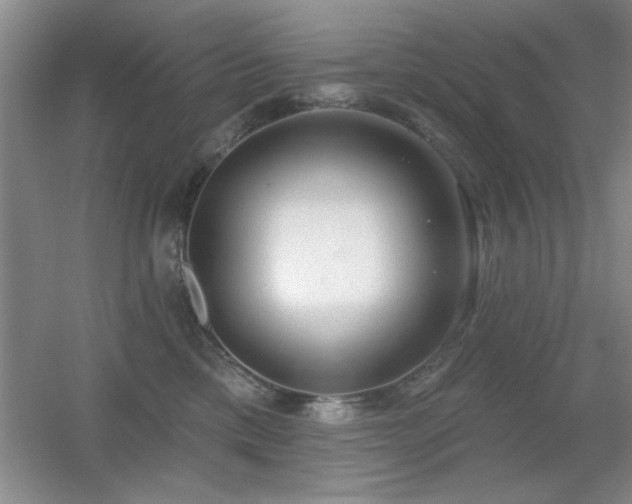 X0000056010425200508221459