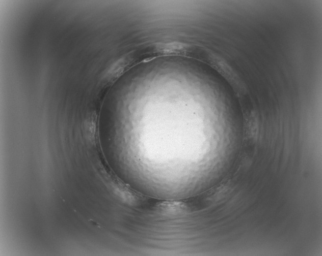 X0000056010427200508221459