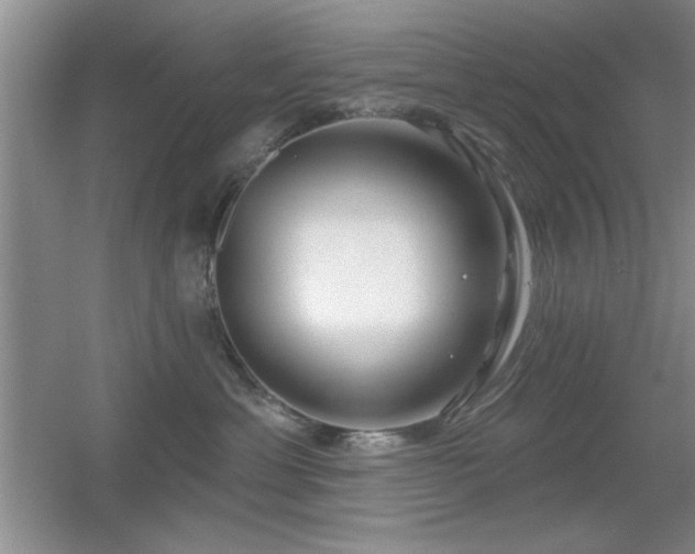 X0000056010429200508221459