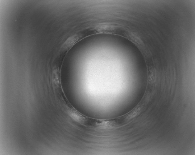 X0000056010430200508221459