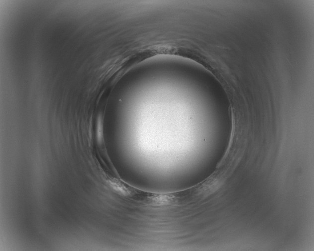 X0000056010432200508221459