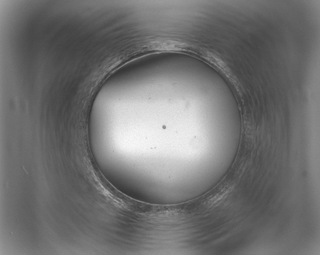 X0000056010433200508221458