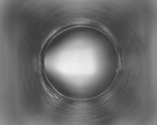 X0000056010435200508221458