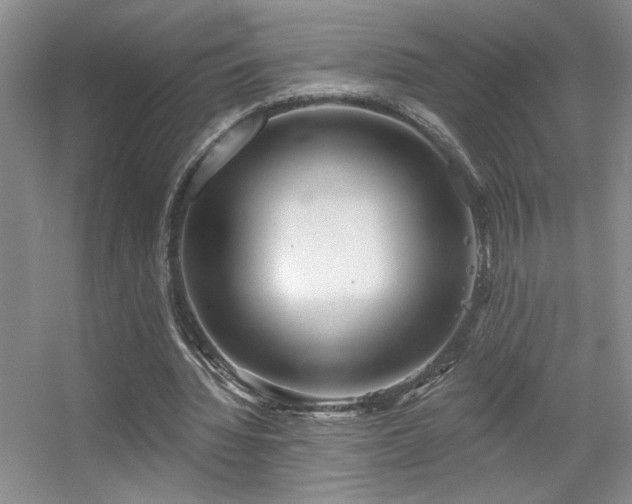 X0000056010436200508221458