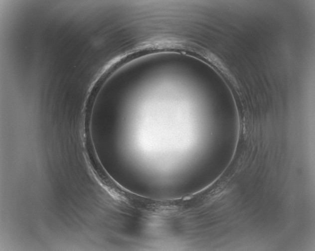 X0000056010438200508221458