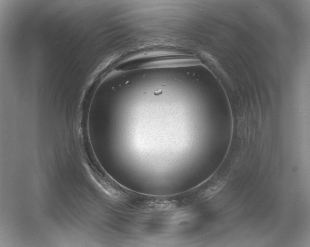 X0000056010443200508221459