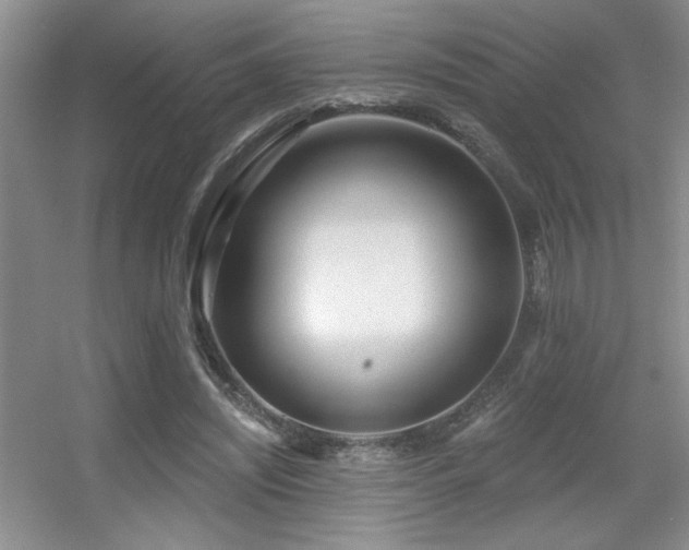 X0000056010444200508221459