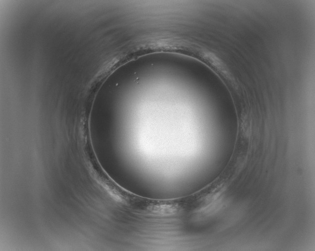 X0000056010449200508221459