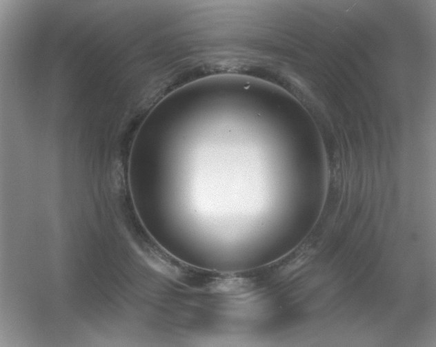 X0000056010459200508221459