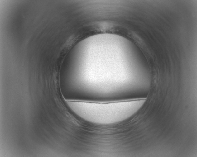 X0000056010461200508221459