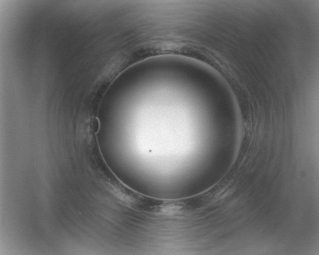 X0000056010462200508221459