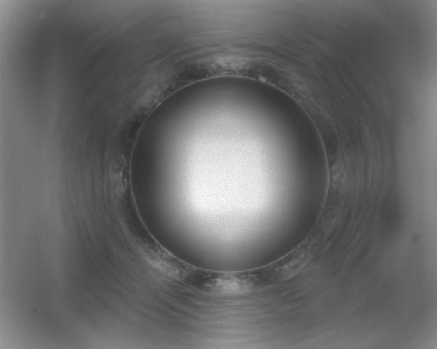 X0000056010464200508221459