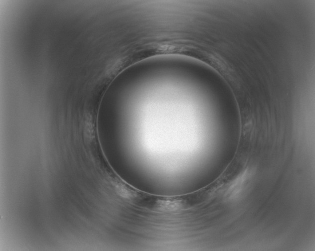 X0000056010469200508221459