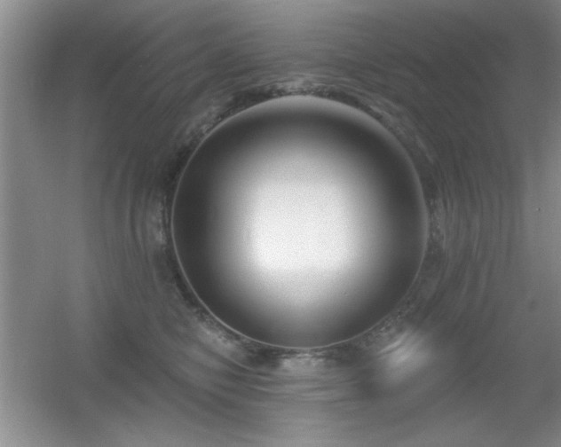 X0000056010470200508221459